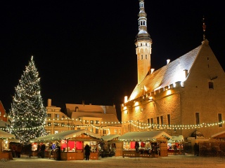 Главная рождественская ель Таллинна