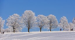 Вся Беларусь.От Витебска до Бреста. Автобусный тур