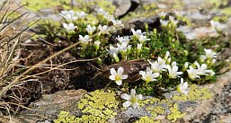 Минеральные воды. Авиаперелет включен.