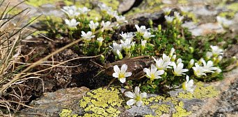 Минеральные воды. Авиаперелет включен.