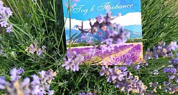 Гран-тур по Восточной Беларуси